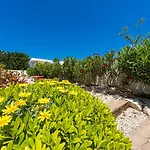 Lirios View By Interhome *